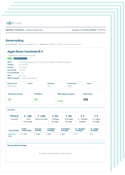 rapport d'entreprise