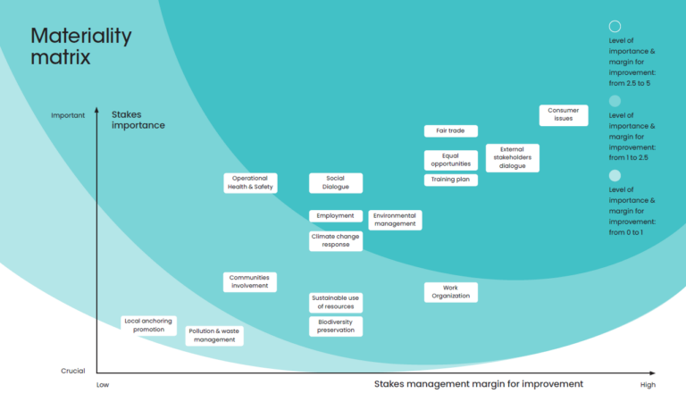 Graphic Materiality Matrix