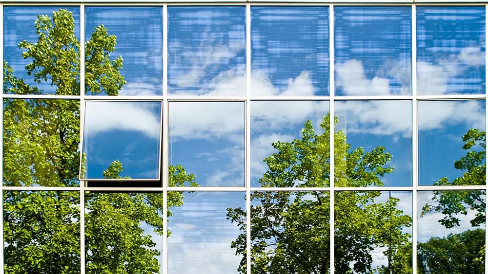 Reflet d’arbres sur des fenêtres