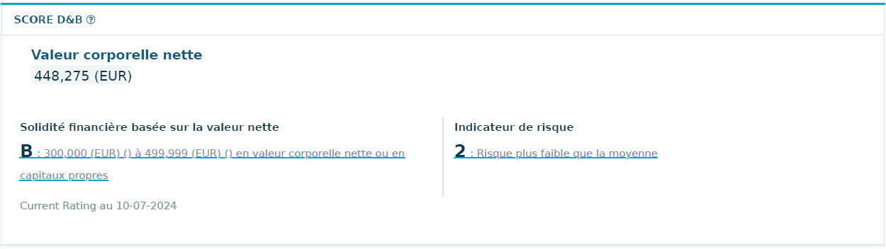 aperçu du rating D&B