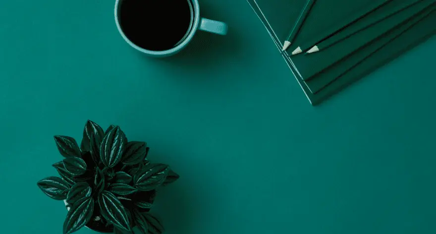 Beker, kamerplant, potloden en schrift