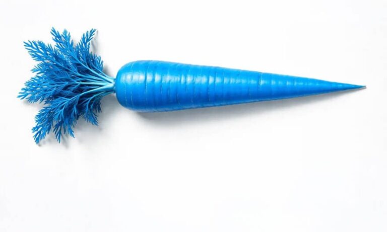 blauwe wortel